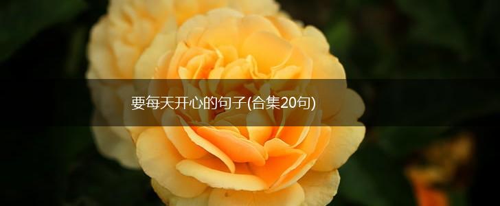 要每天开心的句子(合集20句),第1张