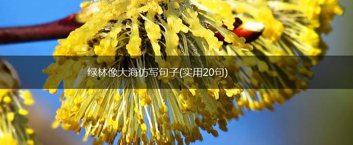绿林像大海仿写句子(实用20句),第1张