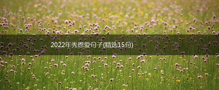 2022年秀恩爱句子(精选15句),第1张