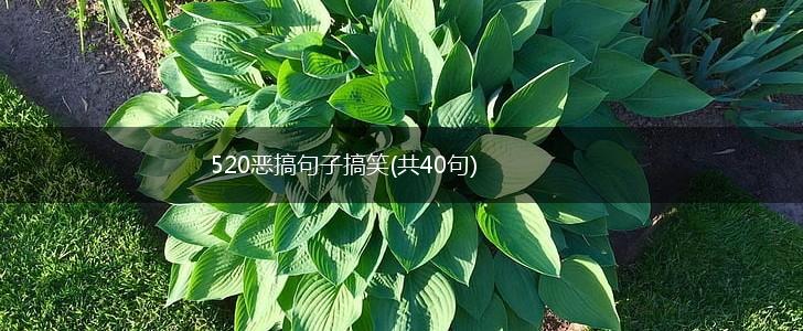 520恶搞句子搞笑(共40句),第1张