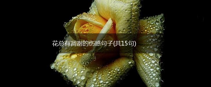花总有凋谢的伤感句子(共15句),第1张