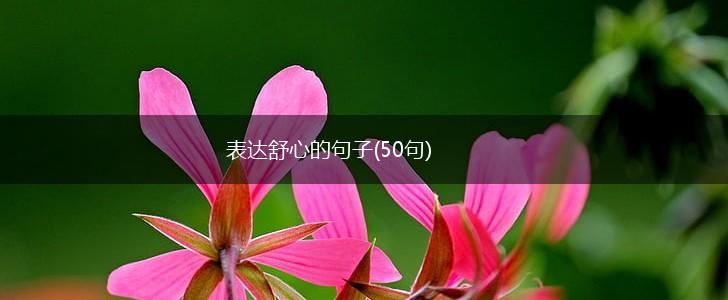 表达舒心的句子(50句),第1张