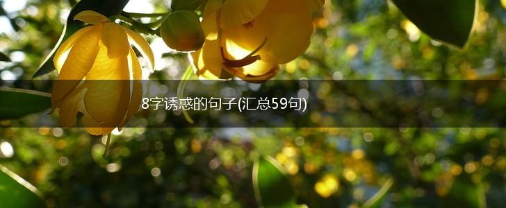 8字诱惑的句子(汇总59句),第1张
