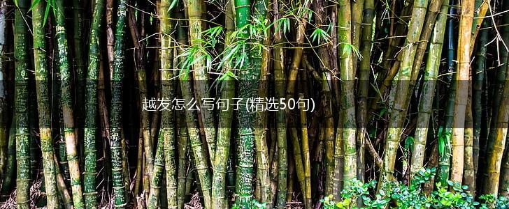 越发怎么写句子(精选50句),第1张