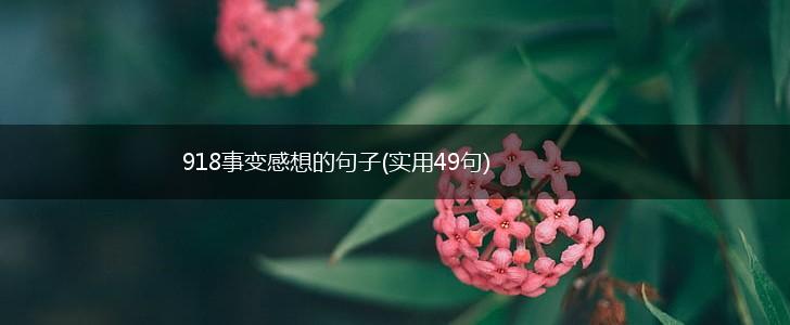 918事变感想的句子(实用49句),第1张