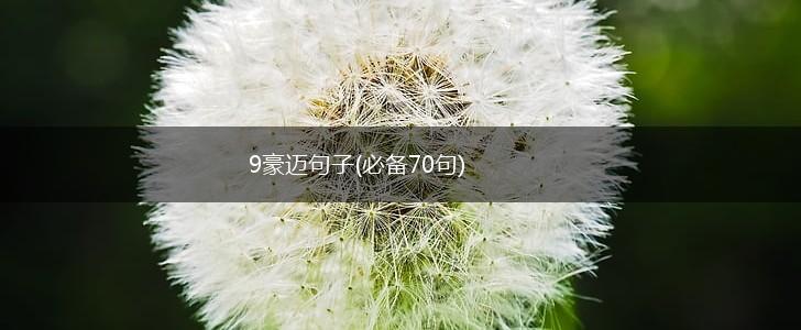 9豪迈句子(必备70句),第1张