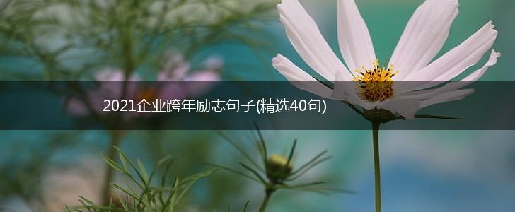 2021企业跨年励志句子(精选40句),第1张