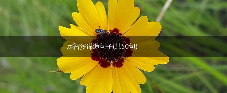 足智多谋造句子(共50句),第1张