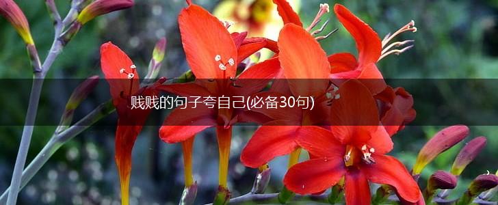 贱贱的句子夸自己(必备30句),第1张