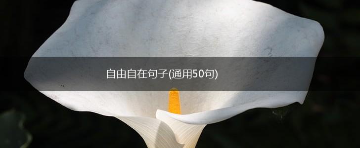 自由自在句子(通用50句),第1张