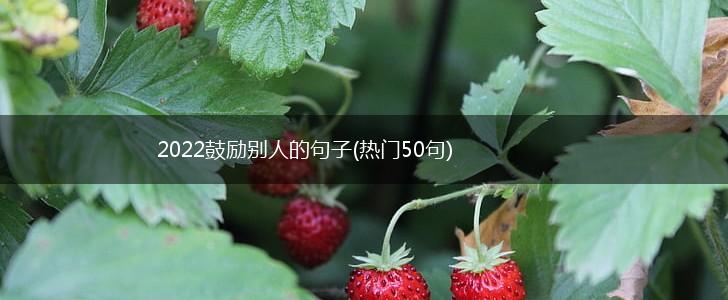 2022鼓励别人的句子(热门50句),第1张