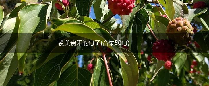 赞美贵阳的句子(合集50句),第1张