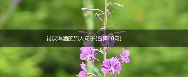 讨厌喝酒的男人句子(合集40句),第1张