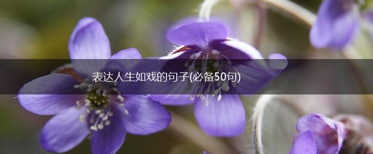 表达人生如戏的句子(必备50句),第1张