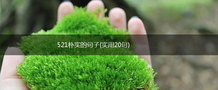 521朴实的句子(实用20句),第1张