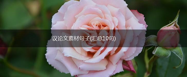 议论文素材句子(汇总10句),第1张