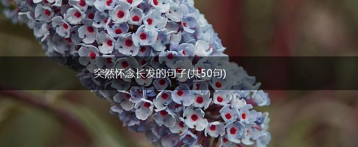 突然怀念长发的句子(共50句),第1张