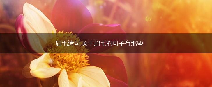 眉毛造句 关于眉毛的句子有那些,第1张