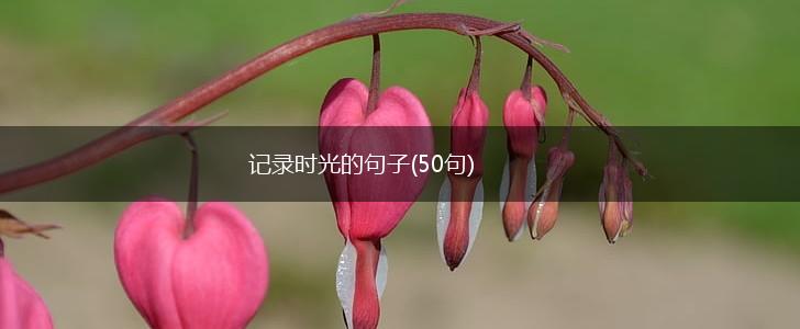 记录时光的句子(50句),第1张