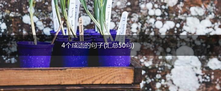 4个成语的句子(汇总50句),第1张