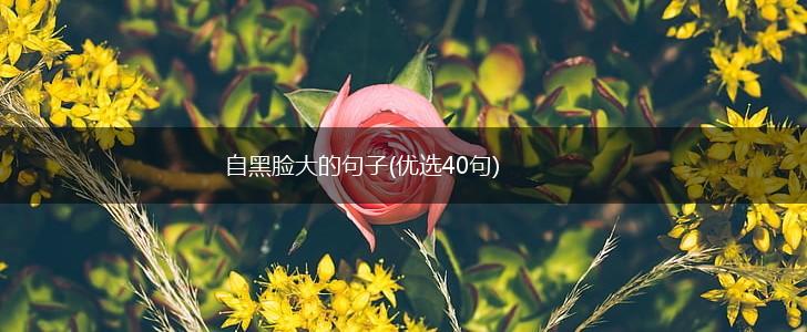 自黑脸大的句子(优选40句),第1张