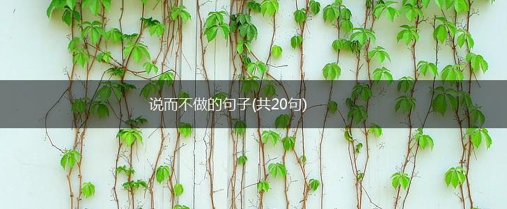 说而不做的句子(共20句),第1张
