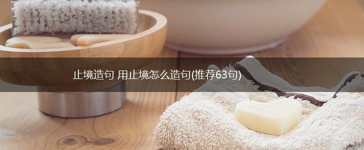止境造句 用止境怎么造句(推荐63句),第1张
