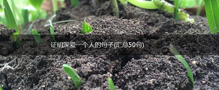 证明深爱一个人的句子(汇总50句),第1张