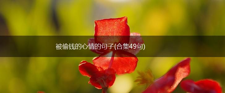 被偷钱的心情的句子(合集49句),第1张