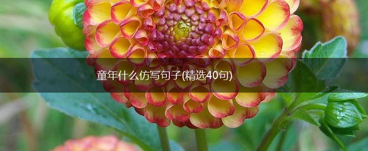 童年什么仿写句子(精选40句),第1张