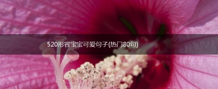 520形容宝宝可爱句子(热门80句),第1张