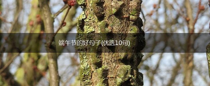 端午节的好句子(优选10句),第1张