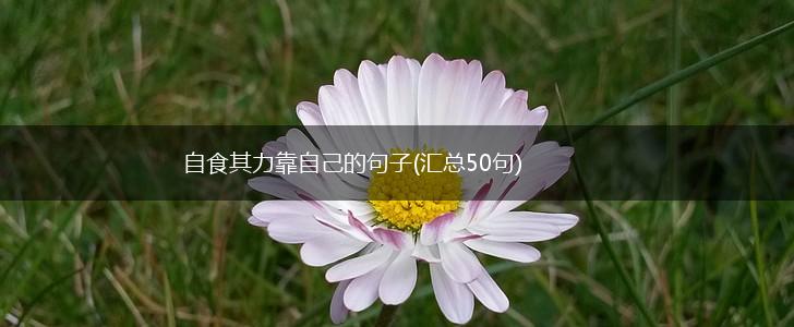 自食其力靠自己的句子(汇总50句),第1张