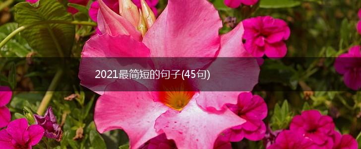 2021最简短的句子(45句),第1张