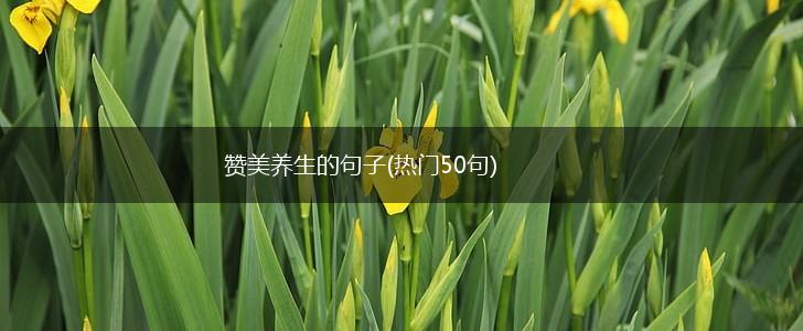 赞美养生的句子(热门50句),第1张