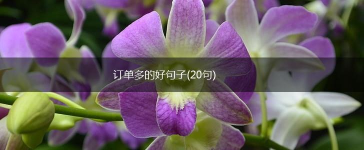 订单多的好句子(20句),第1张