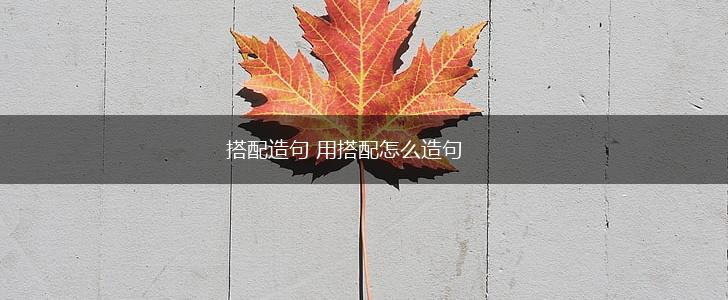 搭配造句 用搭配怎么造句,第1张