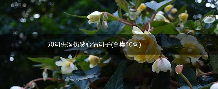 50句失落伤感心情句子(合集40句),第1张