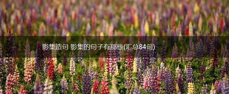 影集造句 影集的句子有那些(汇总84句),第1张