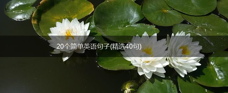 20个简单英语句子(精选40句),第1张