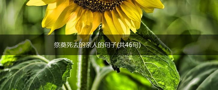 祭奠死去的亲人的句子(共46句),第1张