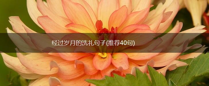 经过岁月的洗礼句子(推荐40句),第1张