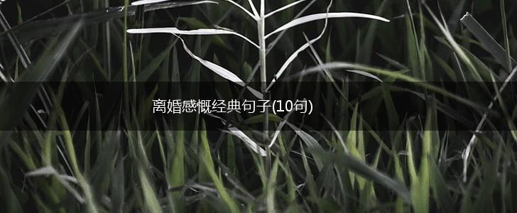 离婚感慨经典句子(10句),第1张
