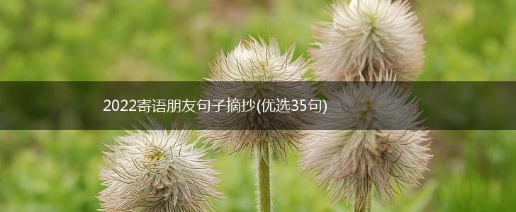 2022寄语朋友句子摘抄(优选35句),第1张