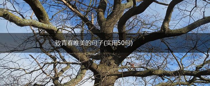 致青春唯美的句子(实用50句),第1张
