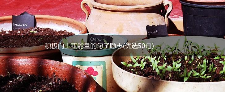 积极向上正能量的句子励志(优选50句),第1张