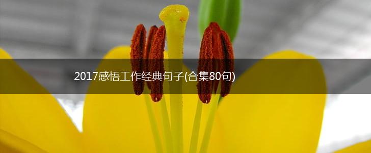 2017感悟工作经典句子(合集80句),第1张
