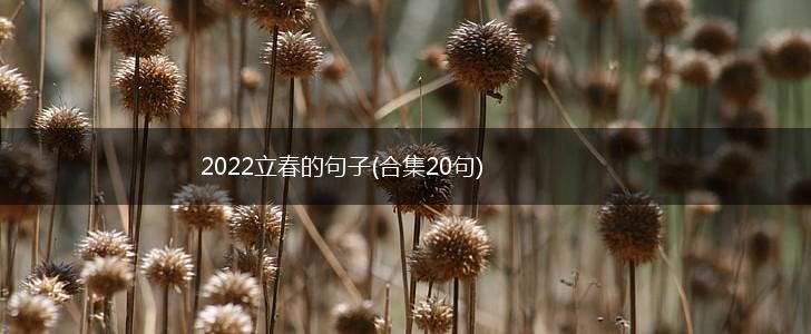 2022立春的句子(合集20句),第1张
