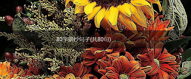 80字摘抄句子(共80句),第1张