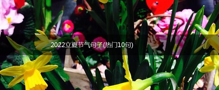 2022立夏节气句子(热门10句),第1张